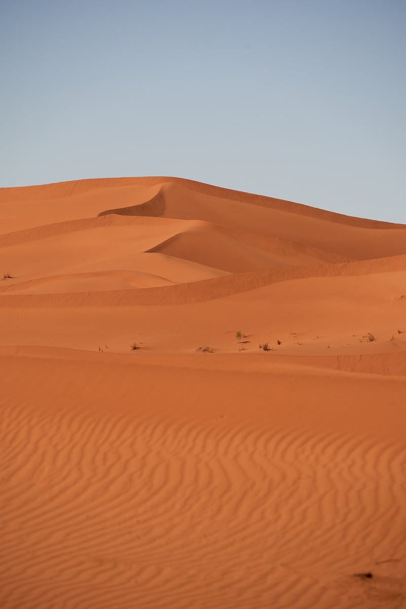 Desert Expedition