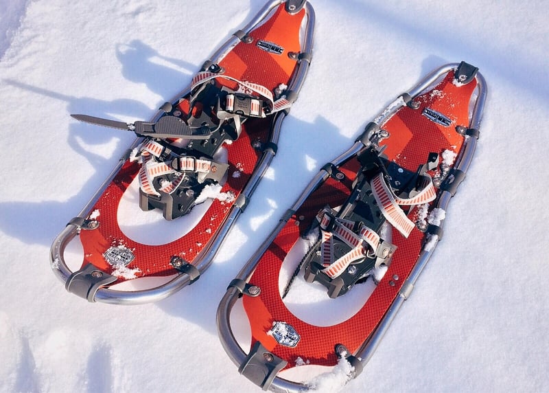 Winter Expedition